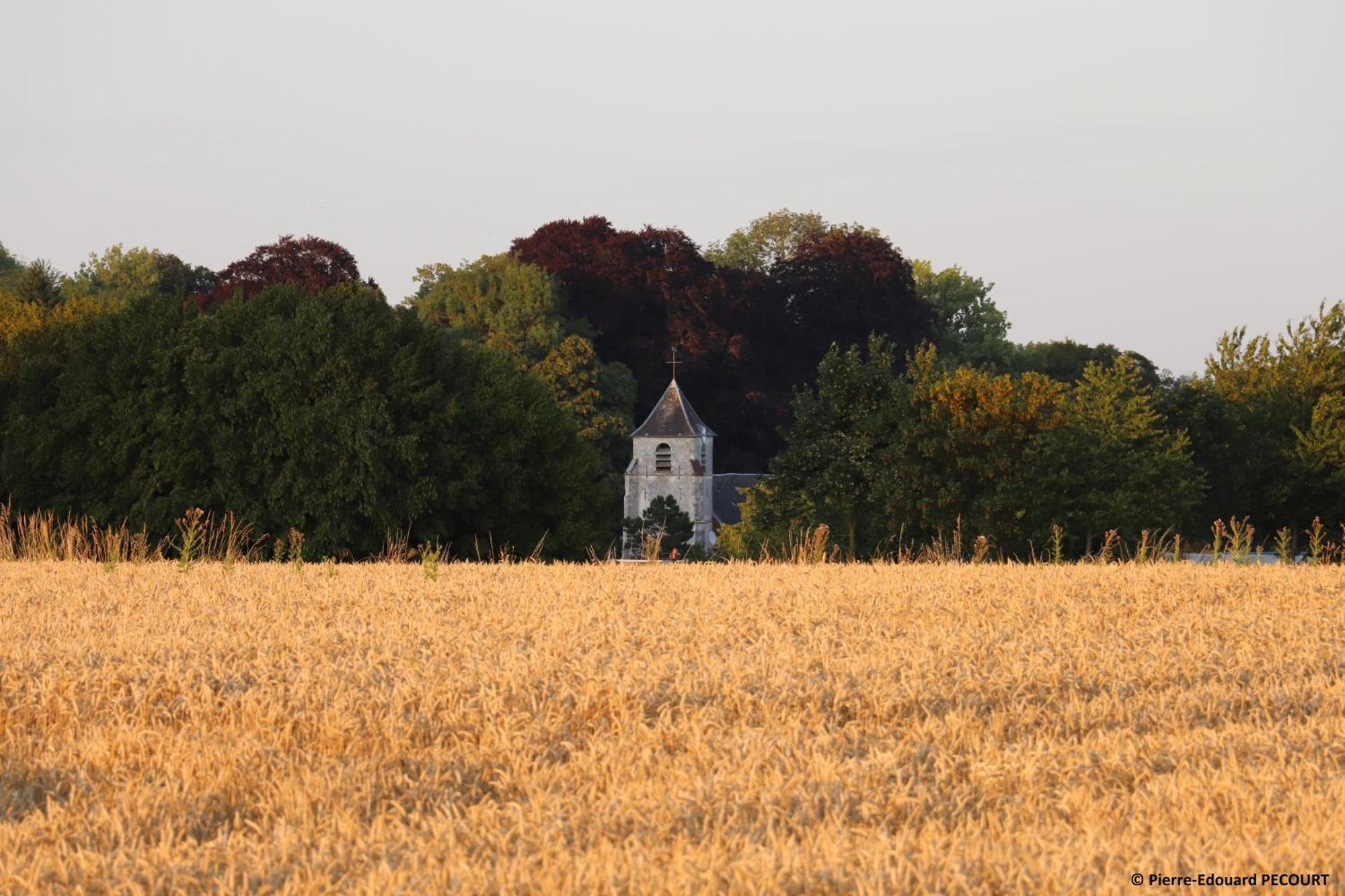 Villa La Grange Aux Tommies - Pays Du Coquelicot Bus-les-Artois Exterior foto